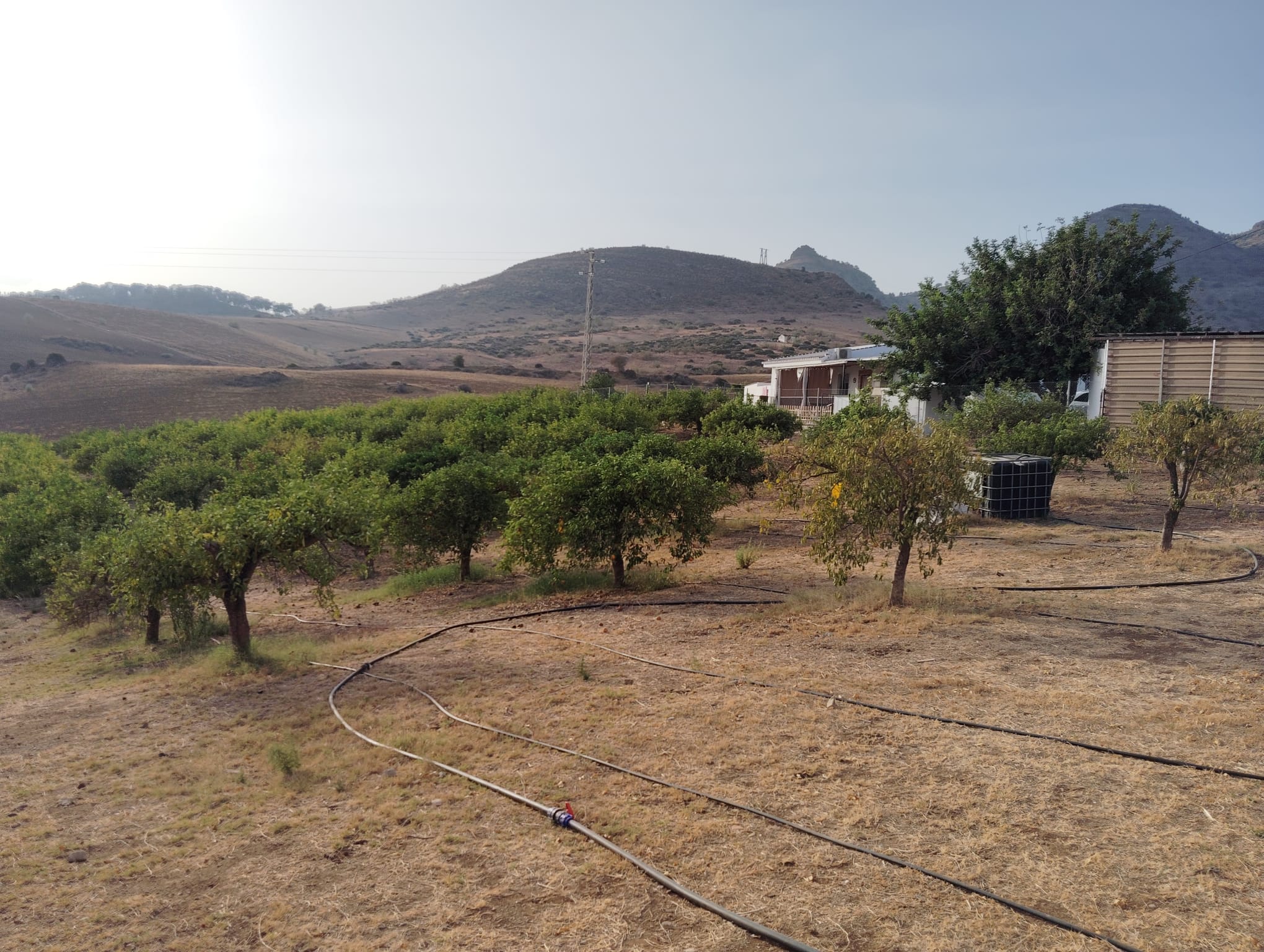 whatsapp-image-2024-08-26-at-18-04-48-5-_2aafb29e-d38f-43a4-89db-673801502f37