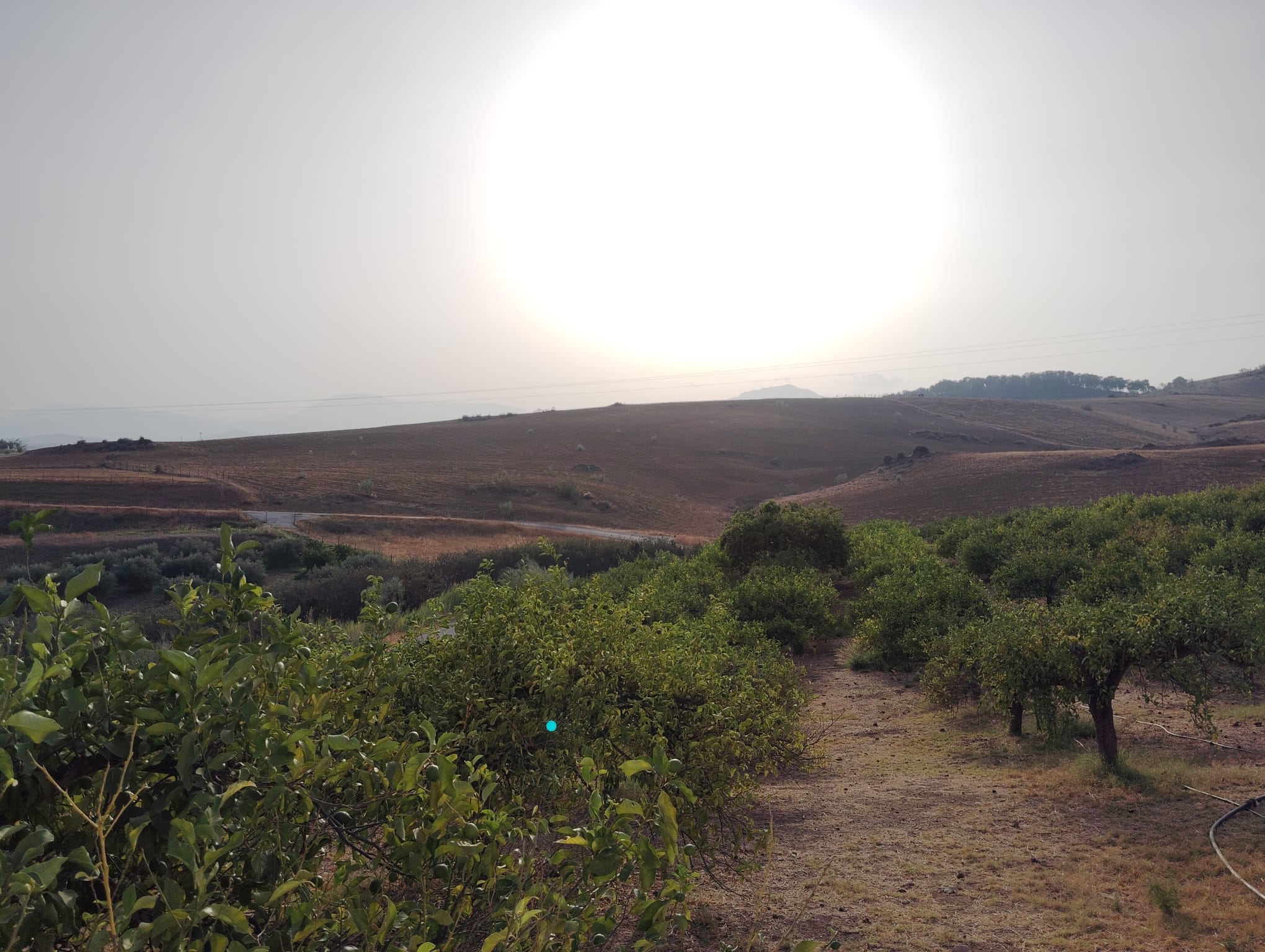 whatsapp-image-2024-08-26-at-18-04-48-8-_2f6af2c0-662b-4e28-bdd1-61ba299a6f04