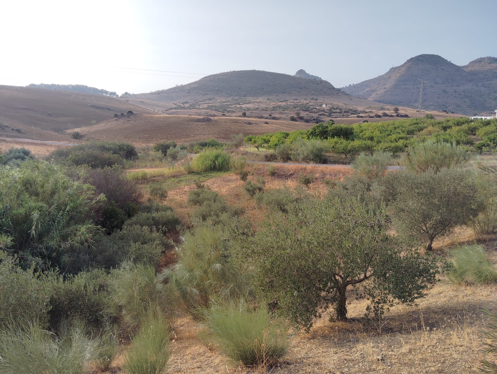 whatsapp-image-2024-08-26-at-18-04-54-1-_fed753b1-22ce-4818-b1ba-d065bd512285