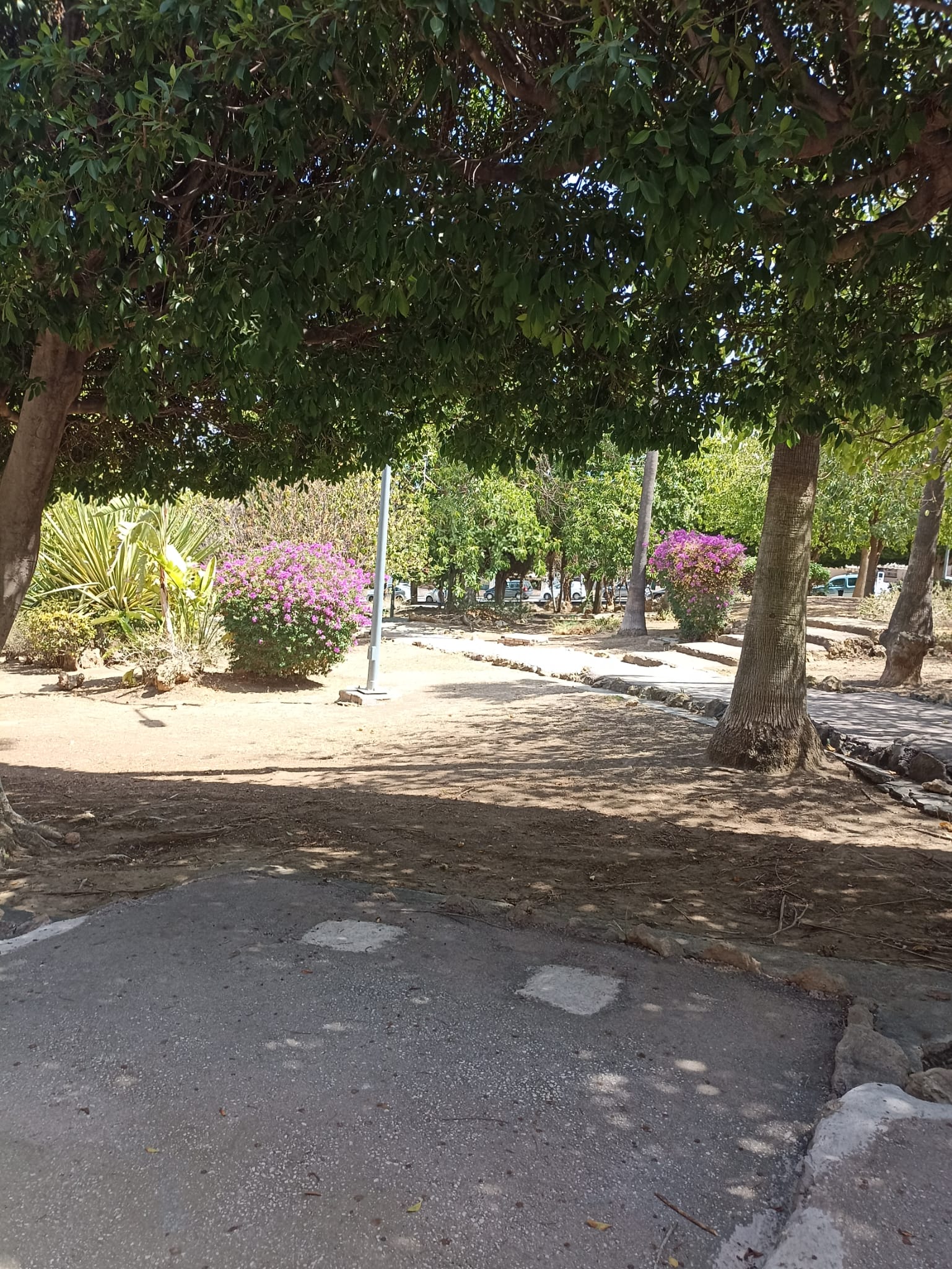 whatsapp-image-2024-09-05-at-11-08-26-1-_1df865cf-3a89-4501-83e0-c4067a5a2d91