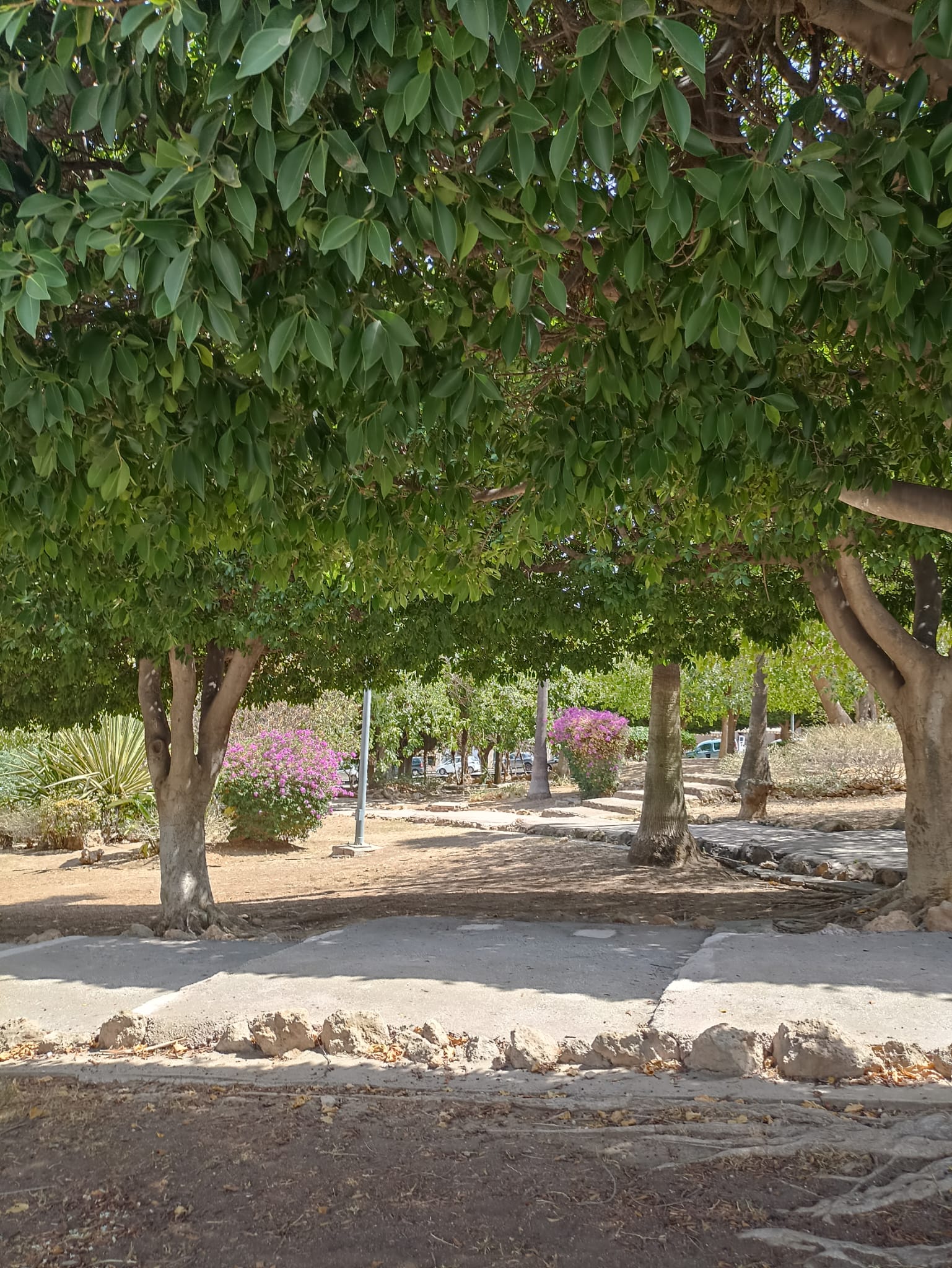 whatsapp-image-2024-09-05-at-11-08-26-2-_0a3ee930-a550-4f13-a528-021bc135fba9