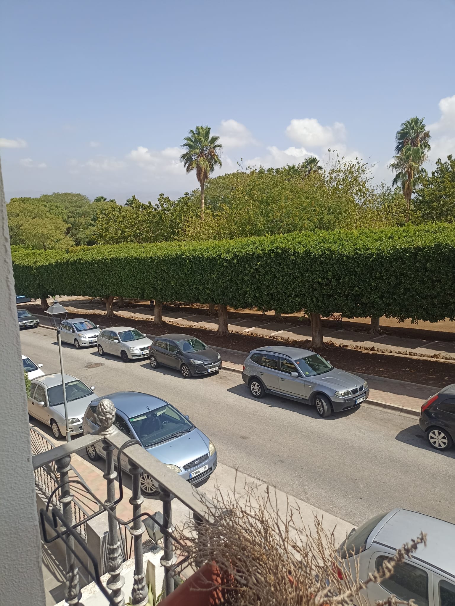 whatsapp-image-2024-09-05-at-11-08-29-3-_79d94cfe-3b0f-49df-9ff5-fad5c952c291