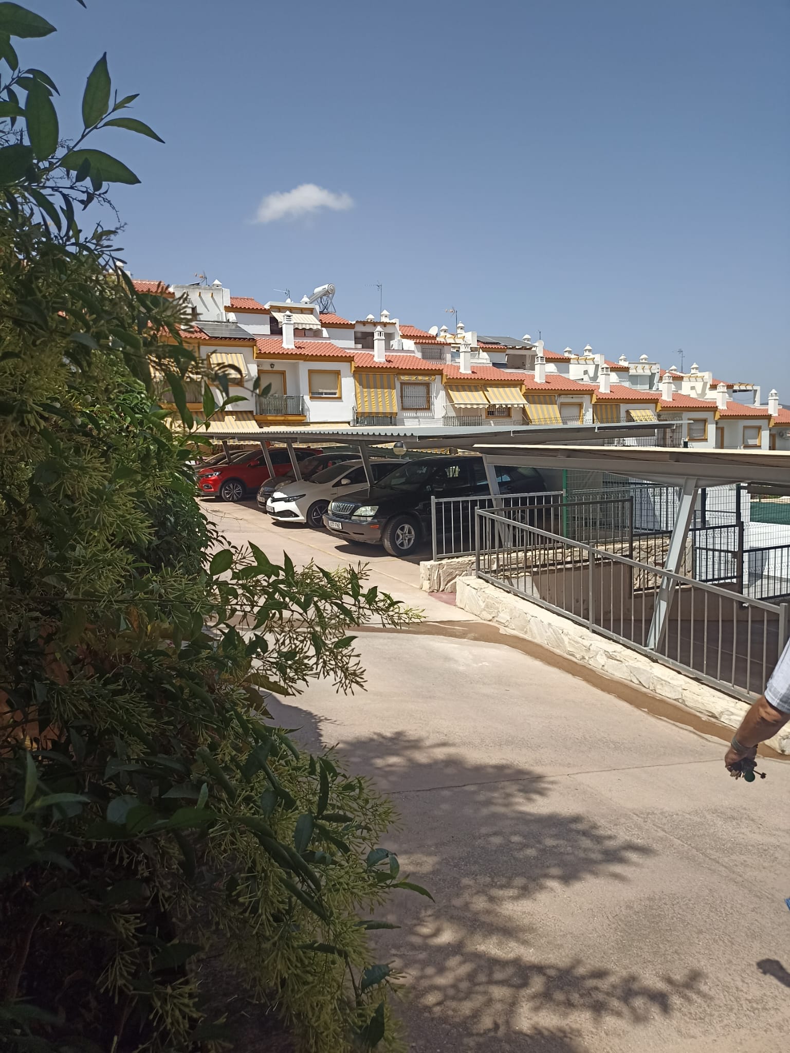 whatsapp-image-2024-09-05-at-11-08-34-1-_7727960f-1e13-47a8-9650-95837b25aa82