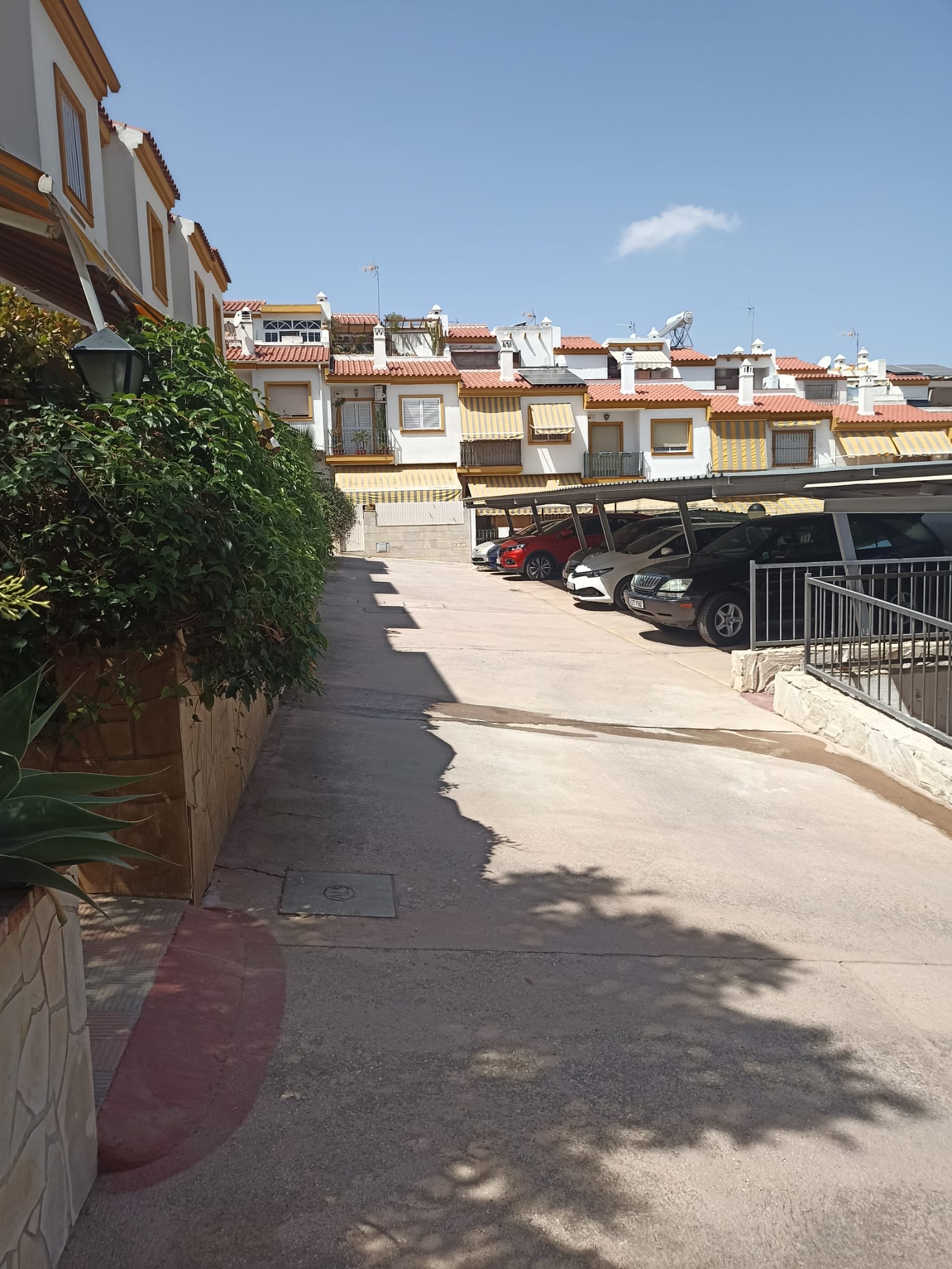 whatsapp-image-2024-09-05-at-11-08-34_7d8a1d74-8aeb-4c94-a1ff-fee2557e7868