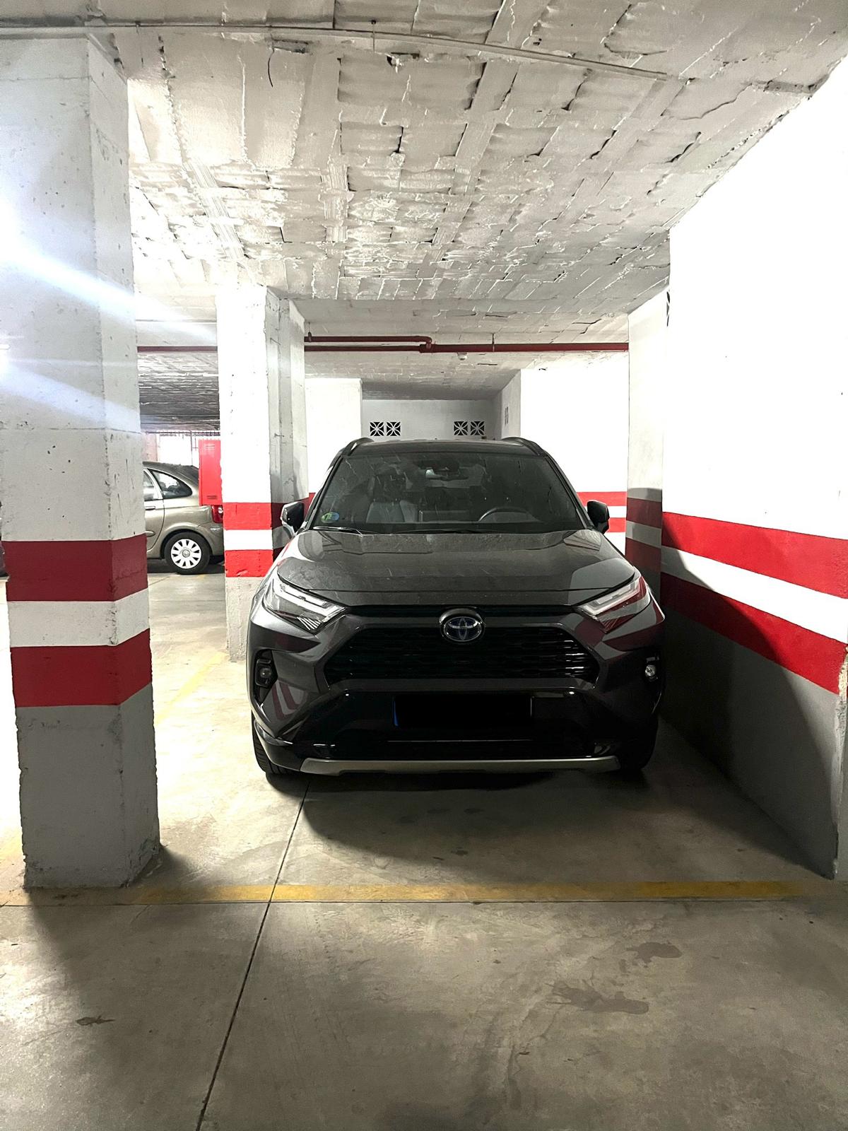 whatsapp-image-2024-09-12-at-12-25-55-3-_f0806f13-7df6-4e83-bfde-9b0bb6fb0459