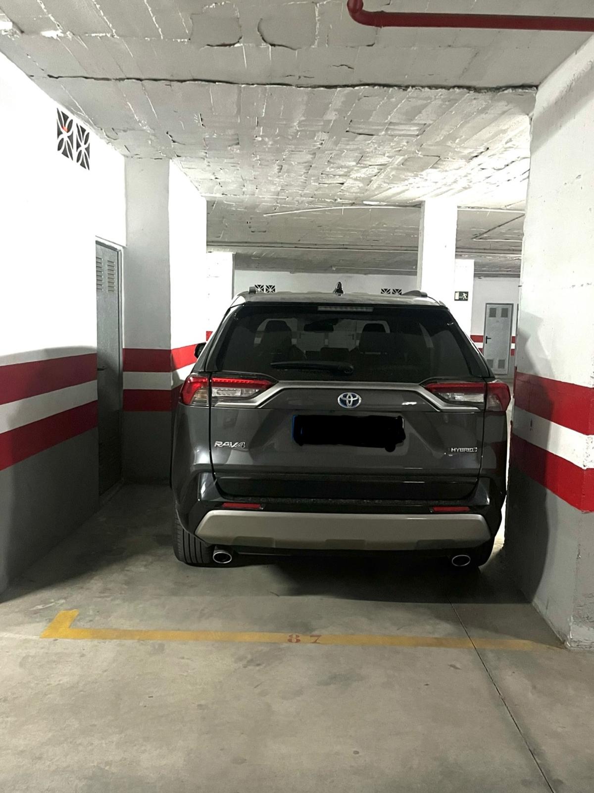 whatsapp-image-2024-09-12-at-12-25-55_6dc17284-9f9d-4379-88f9-843179b9e249