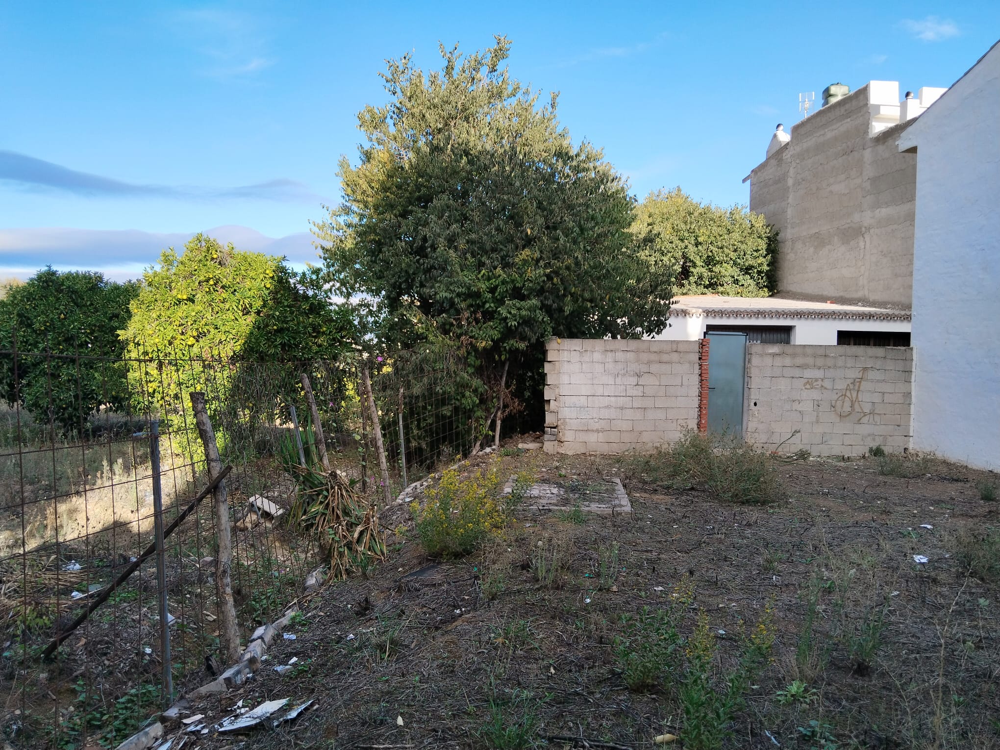 whatsapp-image-2024-10-18-at-10-48-23-1-_387129eb-26ba-4faa-9ddc-07f408f7e23a