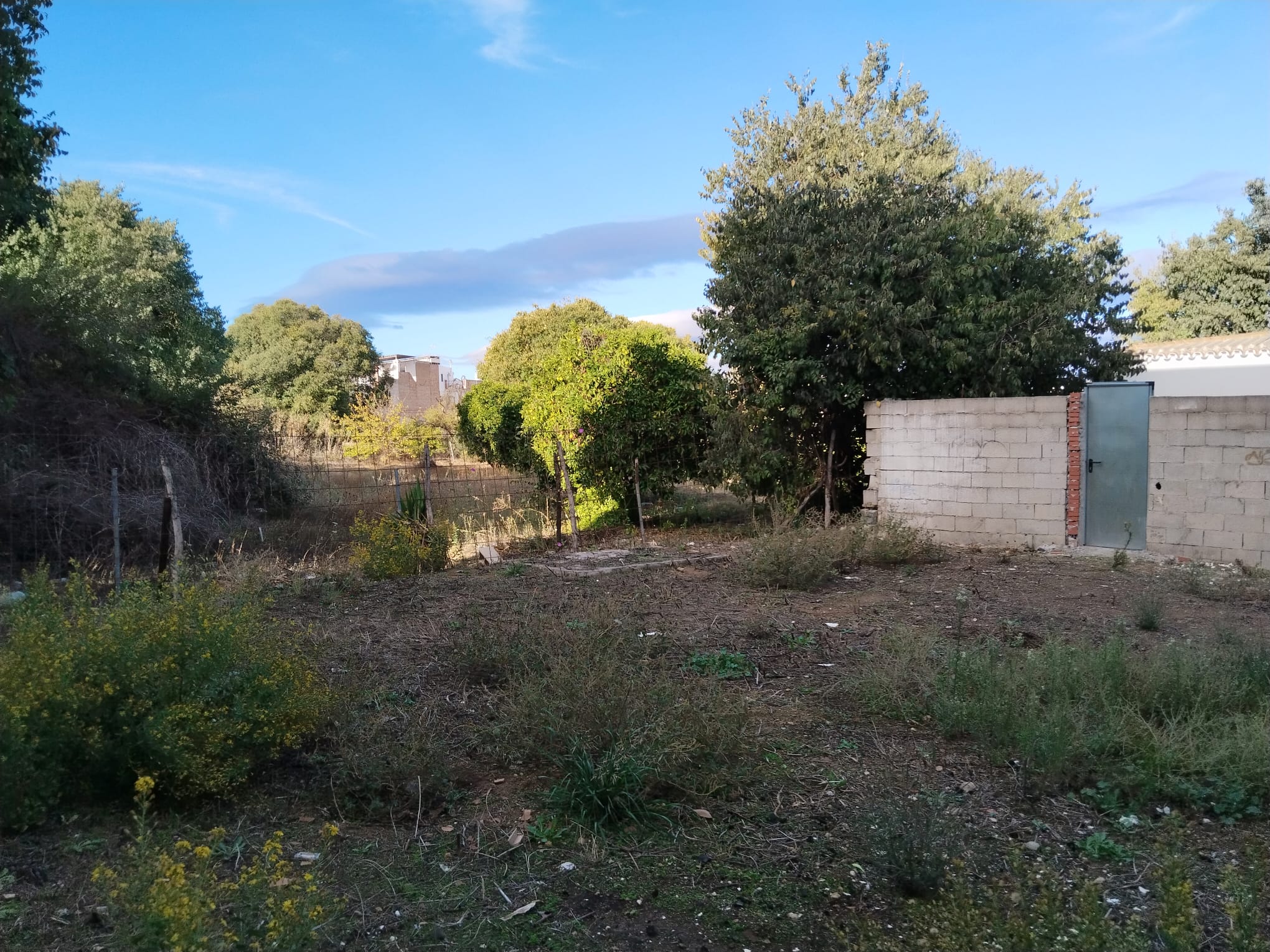 whatsapp-image-2024-10-18-at-10-48-23_e7205e87-653c-4618-986f-5319a4bc3d3c