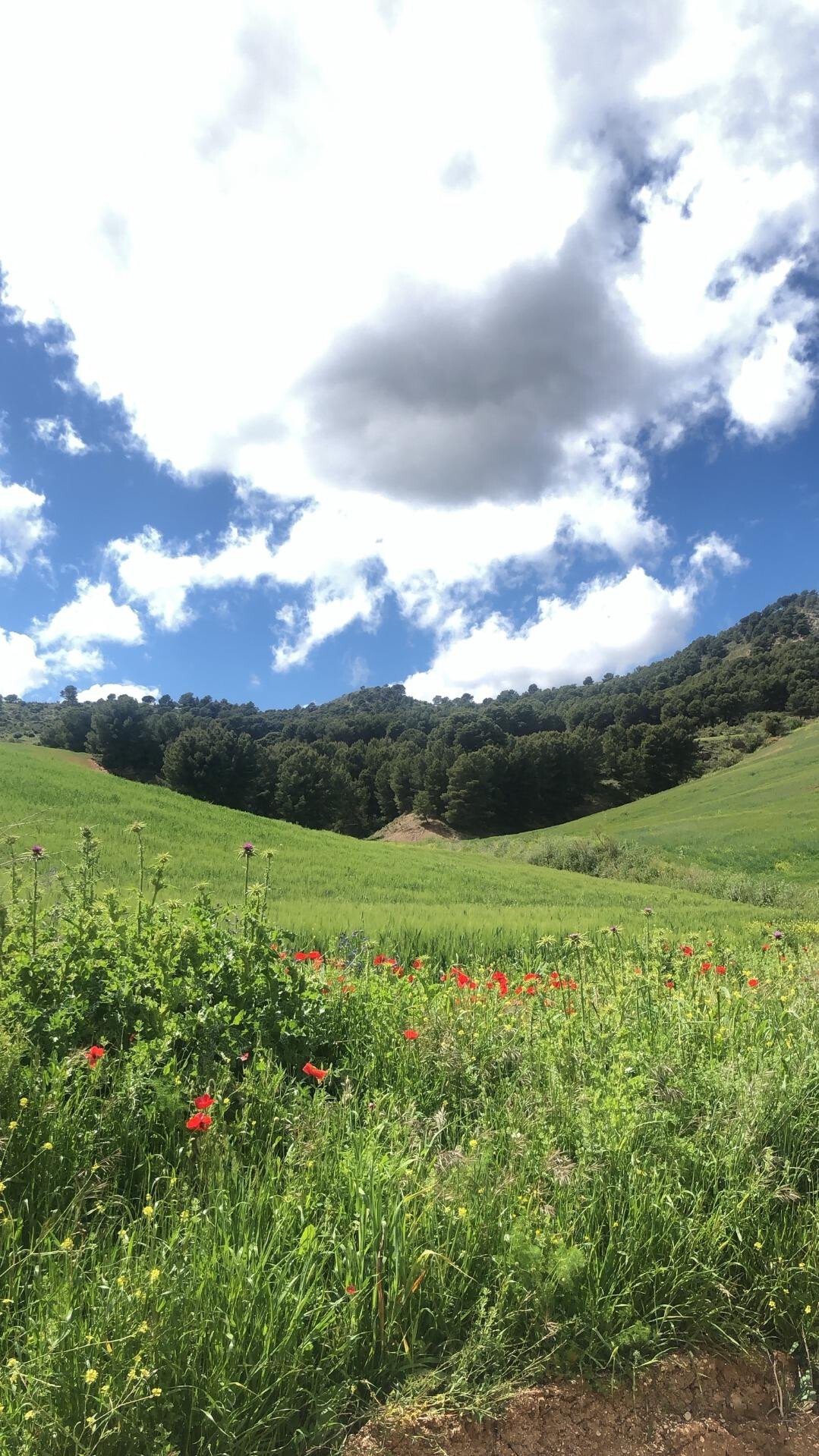 B98Le8_d7M9k3DegpEFZhS0lI_F8U4XZVz_HWxt_mGgYekxX9nCAxh0ZjtE2u9zqepXEUrVLqfm8KeIGW6Gtyd4X_OLwcC0zynZSIZH0VBJasxp8BJphiWXFnxrSymkZ80tLjAwItaVaJQuxPkPpsKThF8RZItnZnQ-