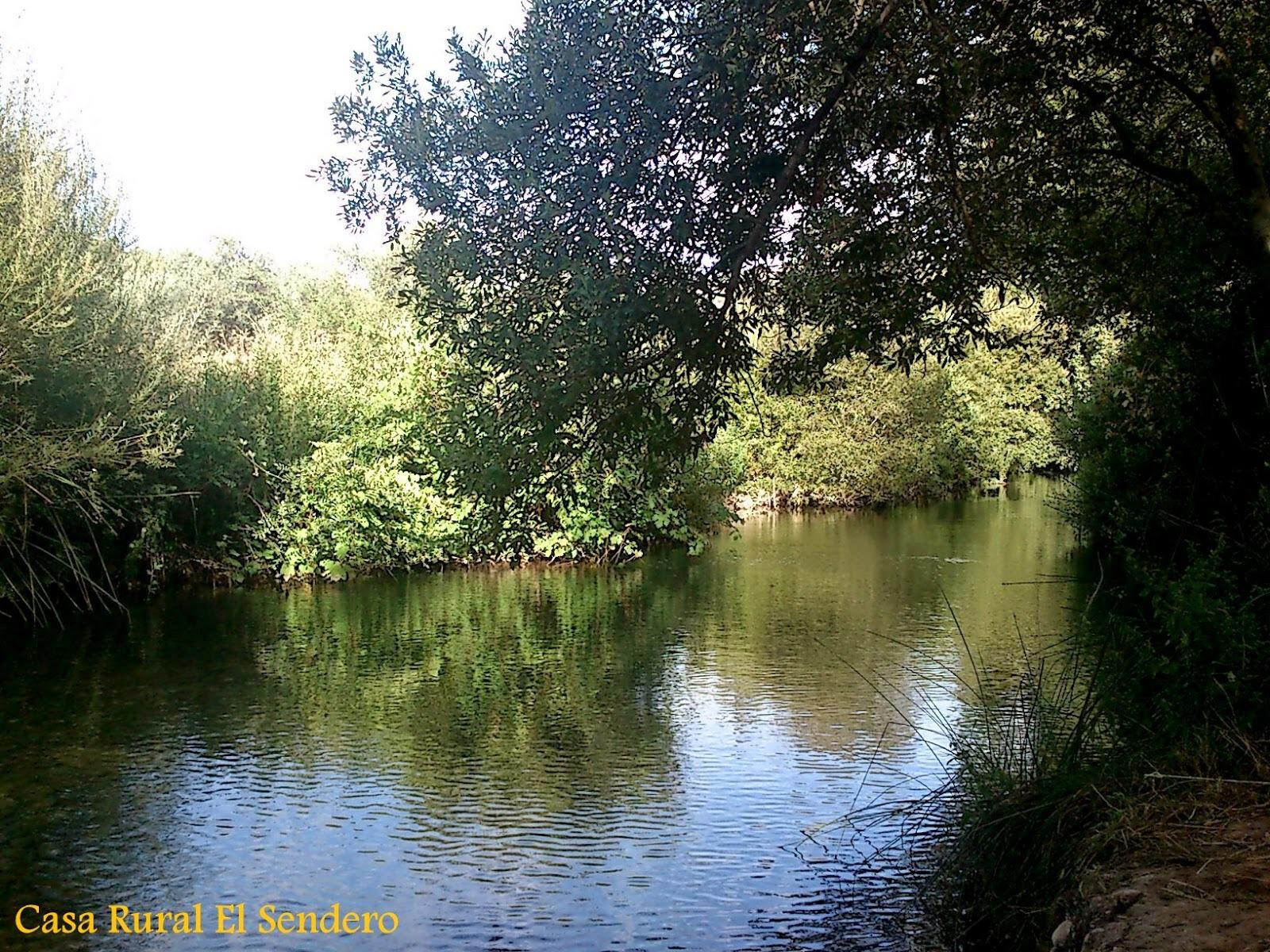 B98Le8_d7M9k3DegpEFZhS0lI_F8U4XZVz_HWxt_mGgYekxX9nCAxh0ZjtE2u9zqepXEUrVLqfm8KeIGW6Gtyd4X_OLwcC0zynZSIZH0VBJasxp8BM9WPdQduolXD_e8F7wOIUbCKxTwYKO6ctt5WW0PWn3egpkzBw-