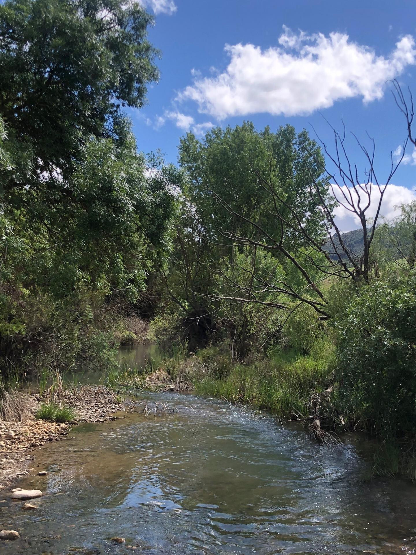 B98Le8_d7M9k3DegpEFZhS0lI_F8U4XZVz_HWxt_mGgYekxX9nCAxh0ZjtE2u9zqepXEUrVLqfm8KeIGW6Gtyd4X_OLwcC0zynZSIZH0VBJasxp8BMiLGSvdvc1p0Y3ZLDyn3awkVwzx0X73kCXkU45xK0N7RA5ItQ-