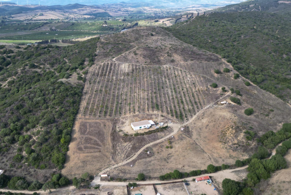 1170